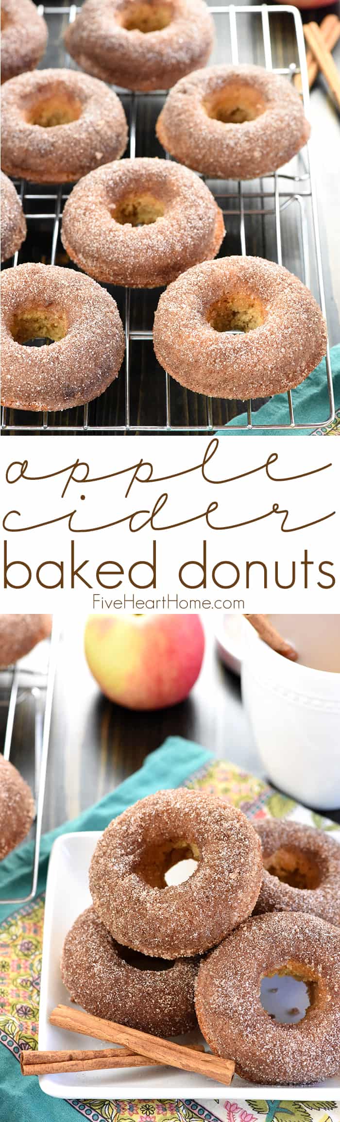 Baked Apple Cider Donuts ~ these delicately spiced, 100% whole wheat donuts are tender on the inside and coated in crunchy cinnamon sugar on the outside for a tasty fall breakfast treat! | FiveHeartHome.com via @fivehearthome