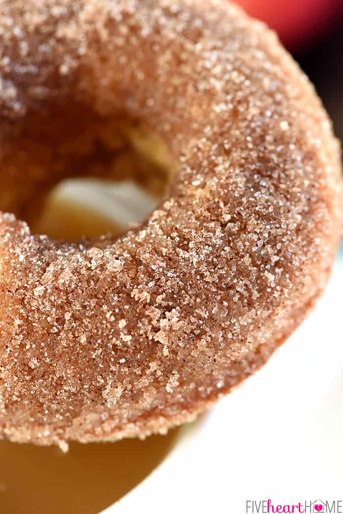 Baked Apple Cider Donuts ~ these delicately spiced, 100% whole wheat donuts are tender on the inside and coated in crunchy cinnamon sugar on the outside for a tasty fall breakfast treat! | FiveHeartHome.com Close-up of cinnamon sugar coating.