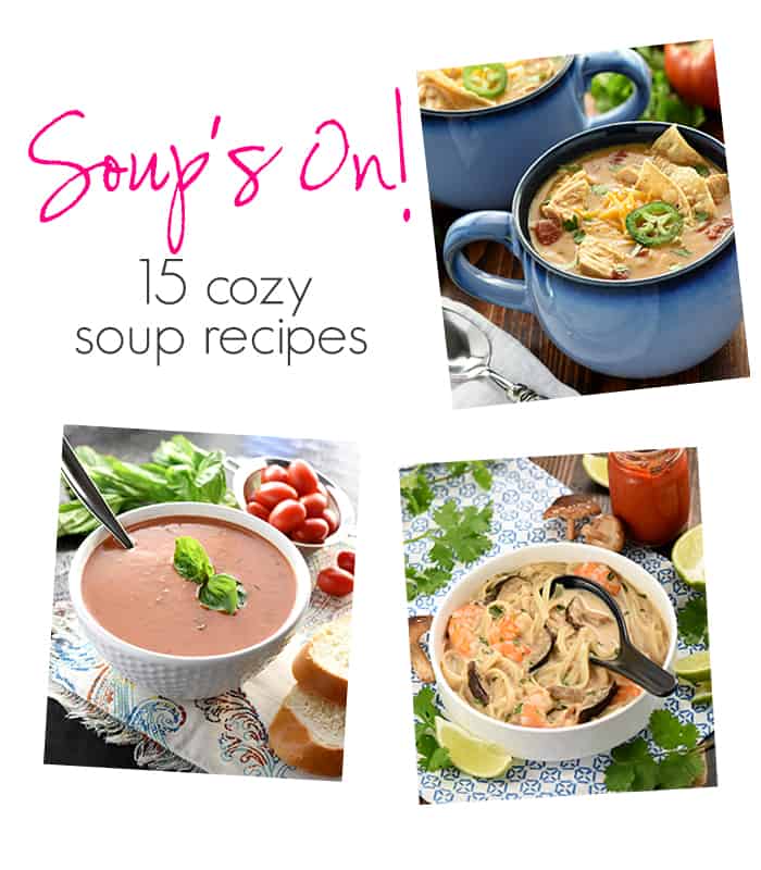 Real Food Slow Cooker Suppers Cookbook: Soup's On ~ 15 cozy soup recipes | FiveHeartHome.com
