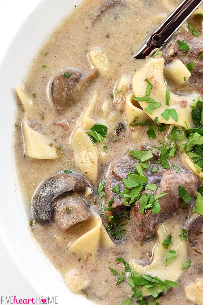 Aerial close-up of Beef Stroganoff Soup in a bowl.