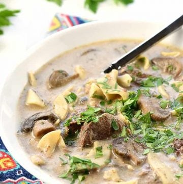 Slow Cooker Beef Stroganoff Soup in a bowl.
