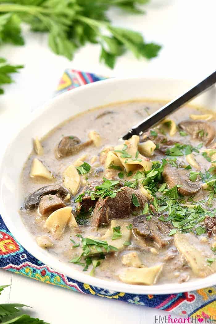 Slow Cooker Beef Stroganoff Soup in a bowl.