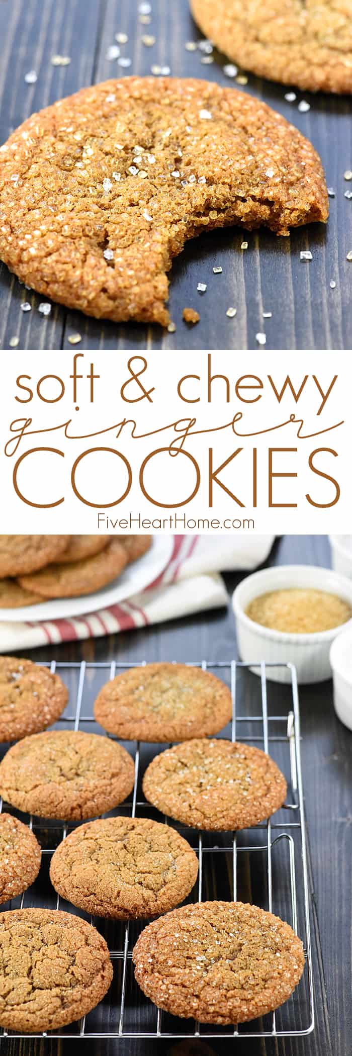 Soft Ginger Cookies ~ loaded with warm spices and coated in crunchy sugar, these chewy, crinkly, sparkly cookies are as pretty as they are delicious! | FiveHeartHome.com via @fivehearthome