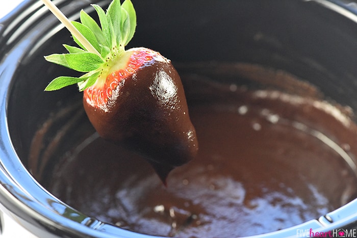 Slow Cooker Chocolate Peanut Butter Fondue ~ a decadent, glossy, chocolate dessert recipe kissed with peanut butter, the perfect crock pot dip for your favorite fruit and confections on Valentine's Day or any day! | FiveHeartHome.com