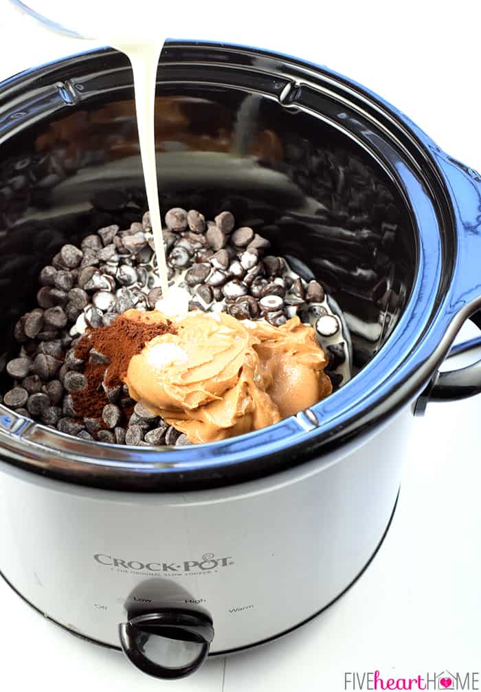 Ingredients going into crockpot.