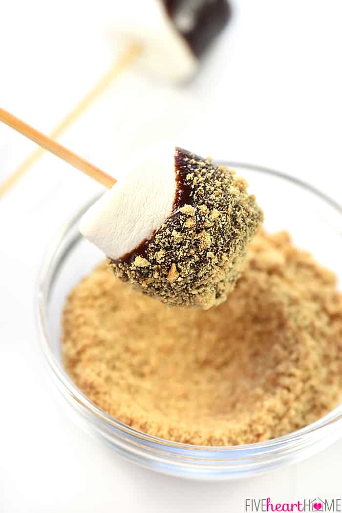 Chocolate fondue dipped marshmallow rolled in graham cracker crumbs.