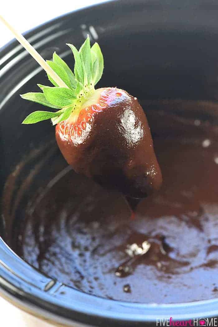 Slow Cooker Chocolate Peanut Butter Fondue