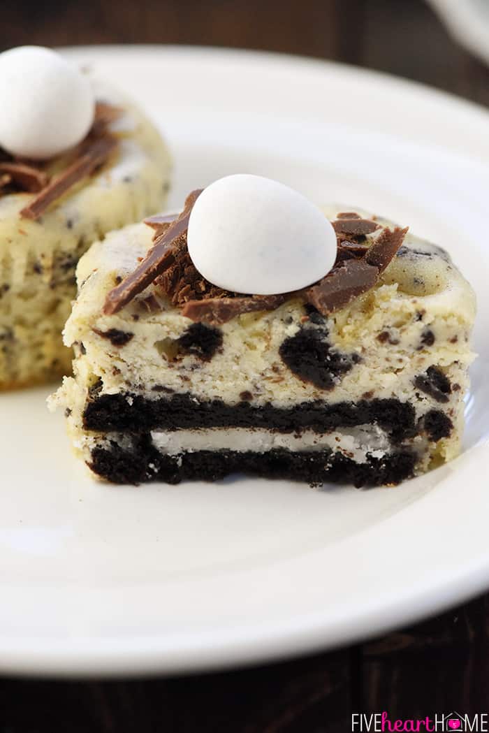 Cheesecake with Oreo Crust