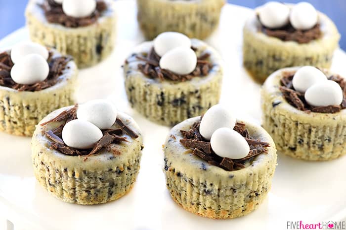 Bird's Nest Mini Oreo Cheesecakes | Easter Dessert Recipe ~ simple cheesecake filling is studded with Oreos, baked in muffin pans, and topped with chocolate shavings and candy eggs for a fun, easy treat that's perfect for spring! | FiveHeartHome.com