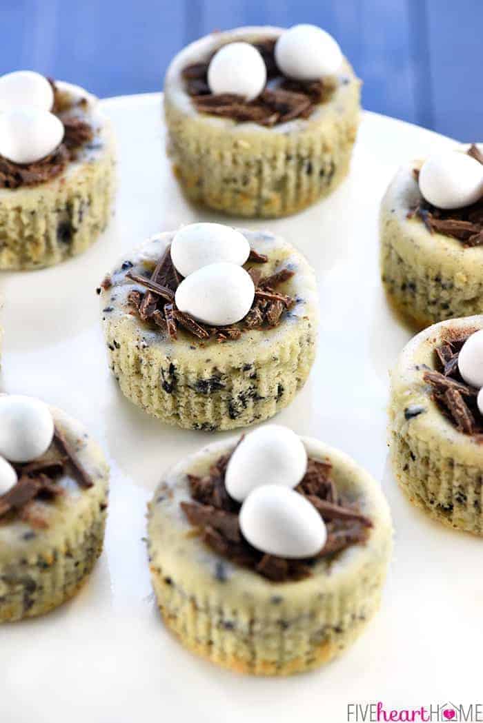 Bird's Nest Mini Oreo Cheesecakes