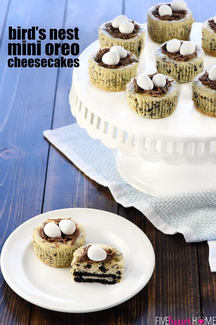 Mini Oreo Cheesecakes decorated like bird's nests