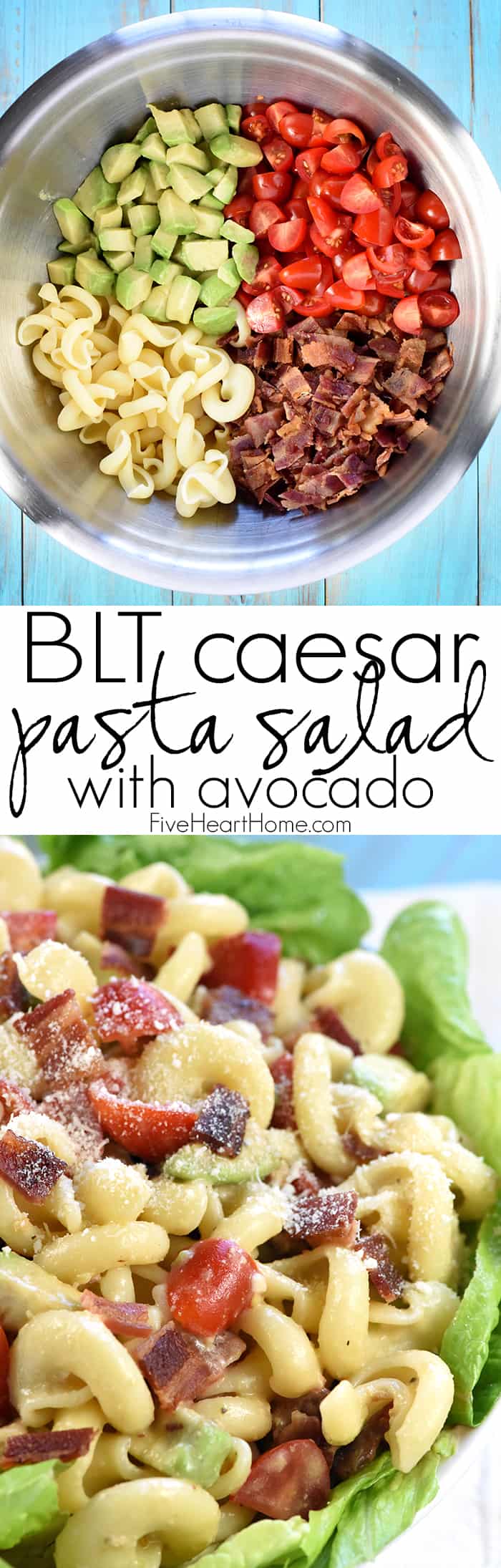 BLT Caesar Pasta Salad with Avocado ~ loaded with crispy bacon, juicy tomatoes, creamy avocado, and tender pasta dressed in tangy Caesar dressing and served atop a bed of fresh lettuce! | FiveHeartHome.com