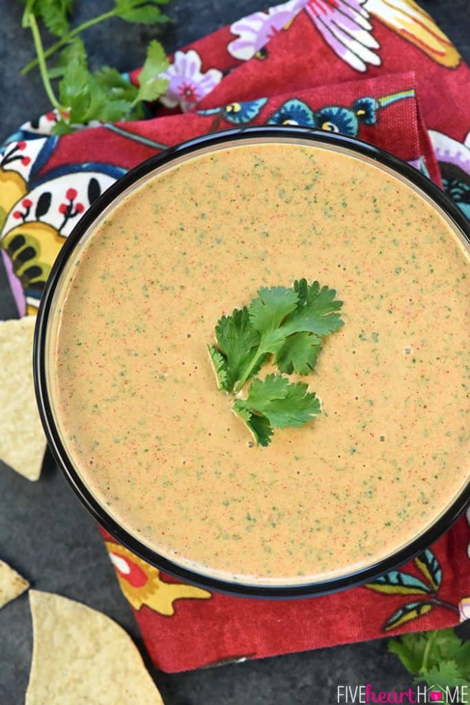 Aerial view of bowl of Creamy Salsa Dip.