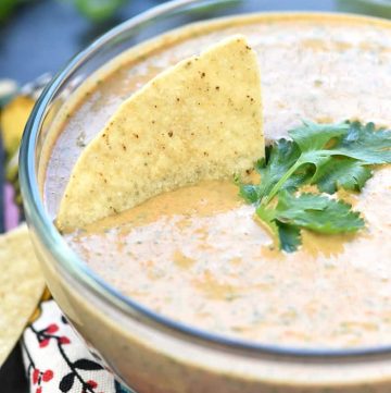 Creamy Salsa Dip ~ light in calories, bursting with flavor, and easy to make with only four simple ingredients -- salsa, Greek yogurt, taco seasoning, and fresh cilantro! | FiveHeartHome.com