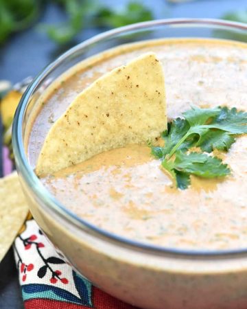 Creamy Salsa Dip ~ light in calories, bursting with flavor, and easy to make with only four simple ingredients -- salsa, Greek yogurt, taco seasoning, and fresh cilantro! | FiveHeartHome.com