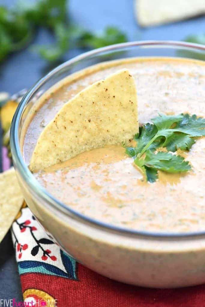 Creamy Salsa Dip with a tortilla chip and sprig of cilantro.