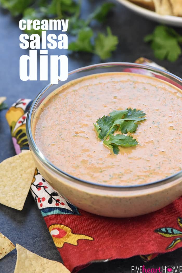 Creamy Salsa Dip • FIVEheartHOME