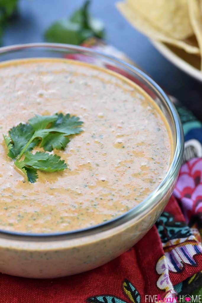 Creamy Salsa Dip garnished with fresh cilantro.