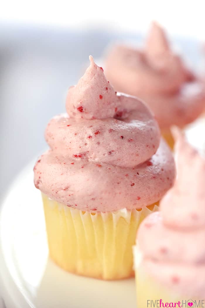 Close-up of frosted cupcake