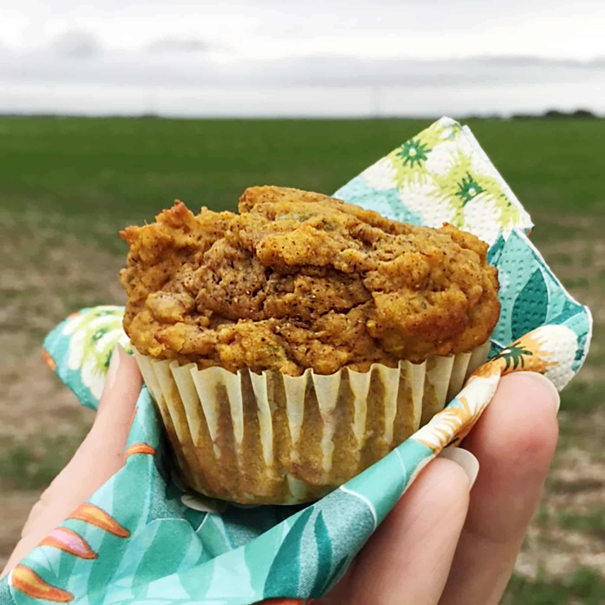 Lentil Pumpkin Muffin enjoyed in the lentil fields