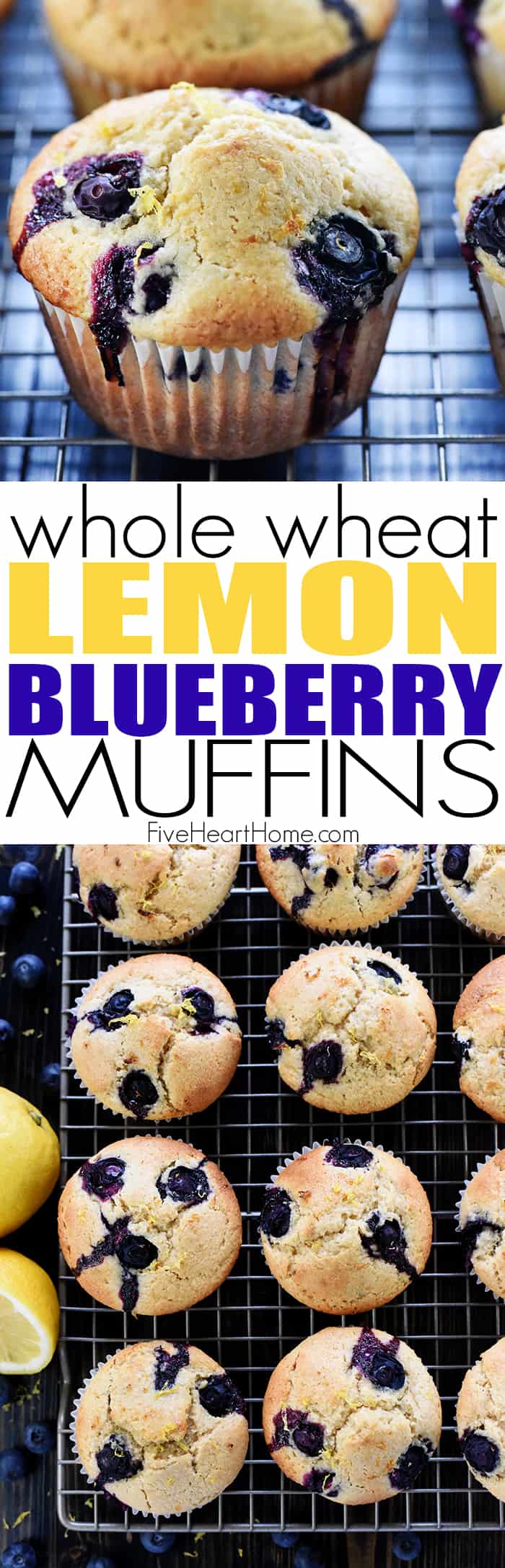 Lemon Blueberry Muffins ~ light, tender, and bursting with fresh lemon, juicy blueberries, and whole wheat flour for a wholesome breakfast or snack! | FiveHeartHome.com via @fivehearthome