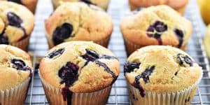 Whole Wheat Lemon Blueberry Muffins