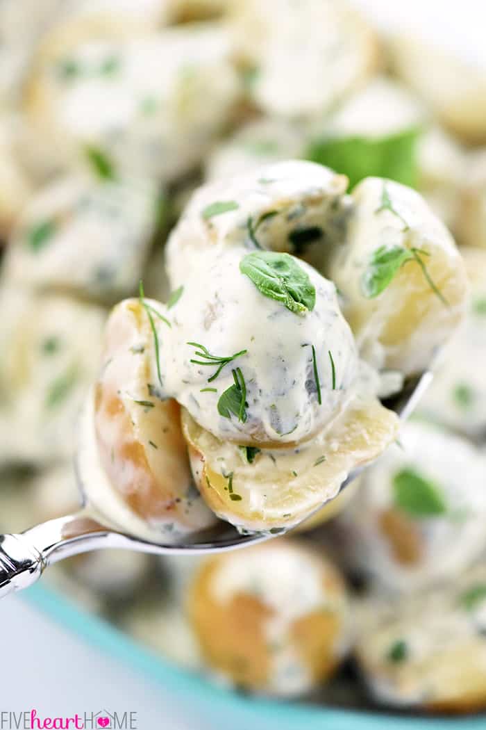 Herb & Greek Yogurt Potato Salad on a Spoon