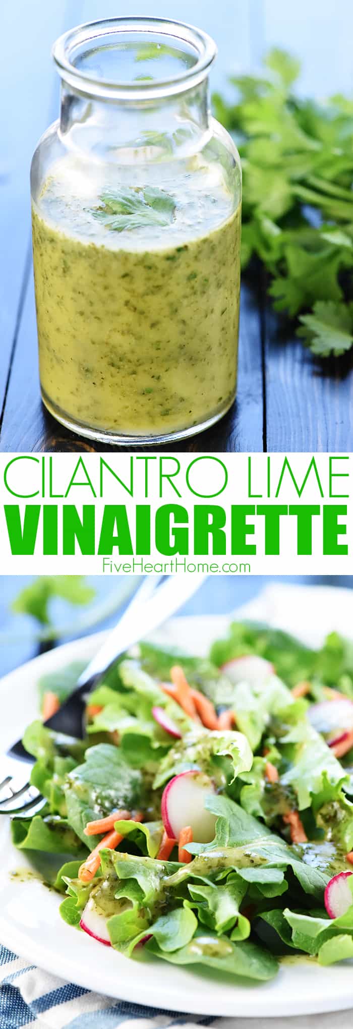 Cilantro Lime Vinaigrette ~ a zesty homemade Mexican dressing perfect for marinades and salads, featuring lime juice, fresh cilantro, and a touch of honey! | FiveHeartHome.com via @fivehearthome