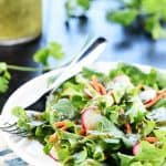 Cilantro Lime Vinaigrette ~ a zesty homemade Mexican dressing perfect for marinades and salads, featuring lime juice, fresh cilantro, and a touch of honey! | FiveHeartHome.com