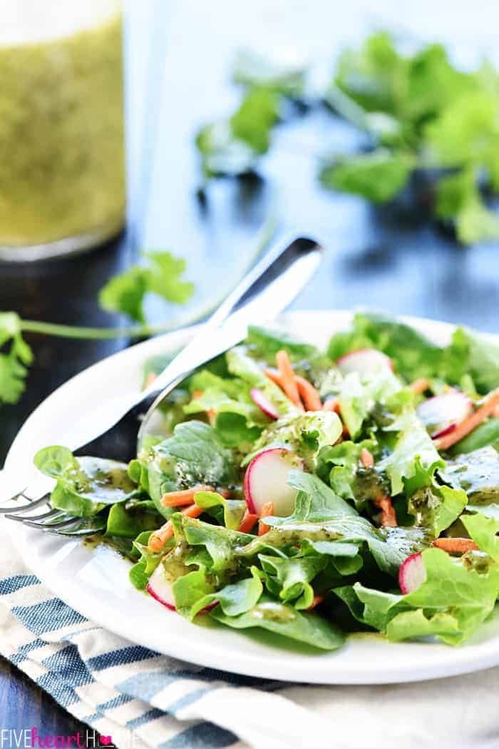 Cilantro Lime Vinaigrette ~ a zesty homemade Mexican dressing perfect for marinades and salads, featuring lime juice, fresh cilantro, and a touch of honey! | FiveHeartHome.com