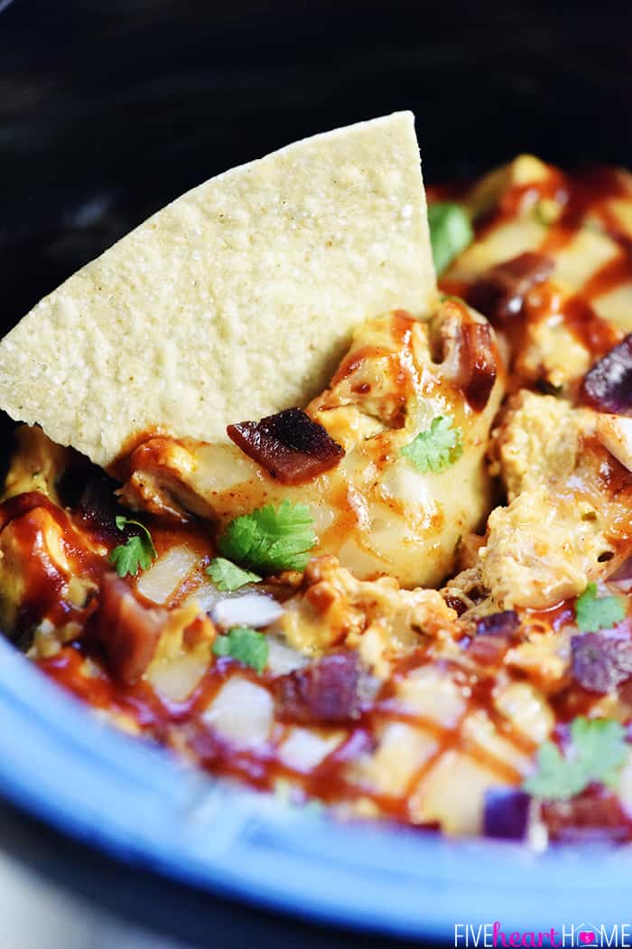 Slow Cooker BBQ Chicken Dip Close-Up