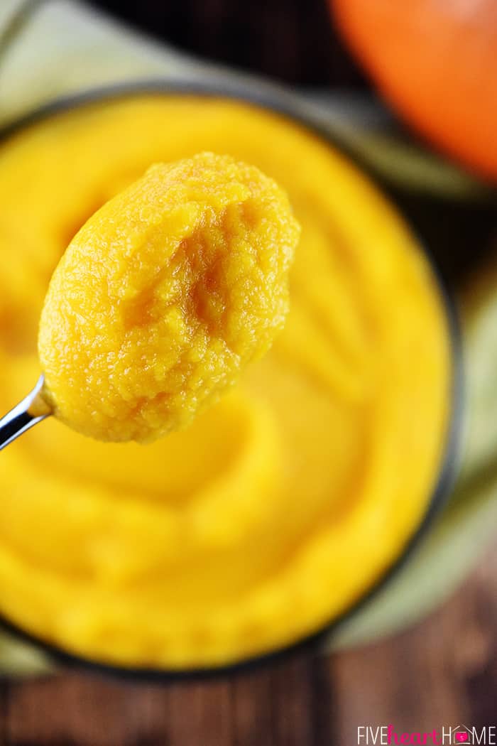 Spoonful of Homemade Pumpkin Puree.