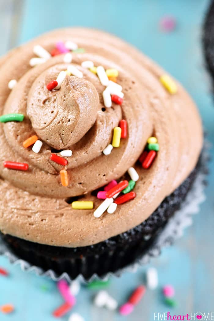 From-Scratch Chocolate Cupcake with frosting and sprinkles