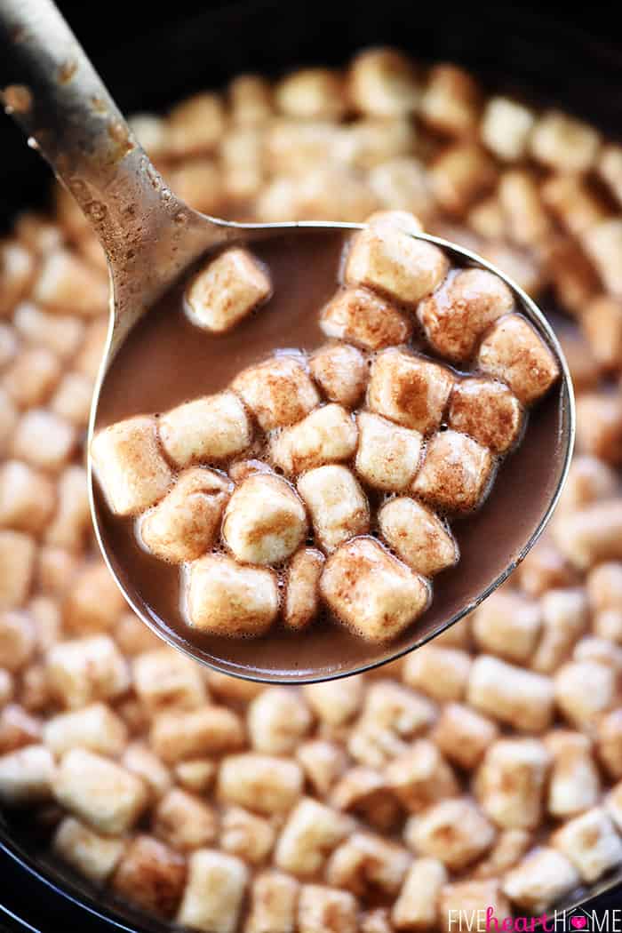 Ladle of Crockpot Hot Chocolate recipe.