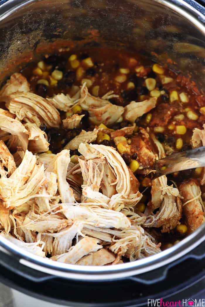 Aerial view of ingredients in pressure cooker.