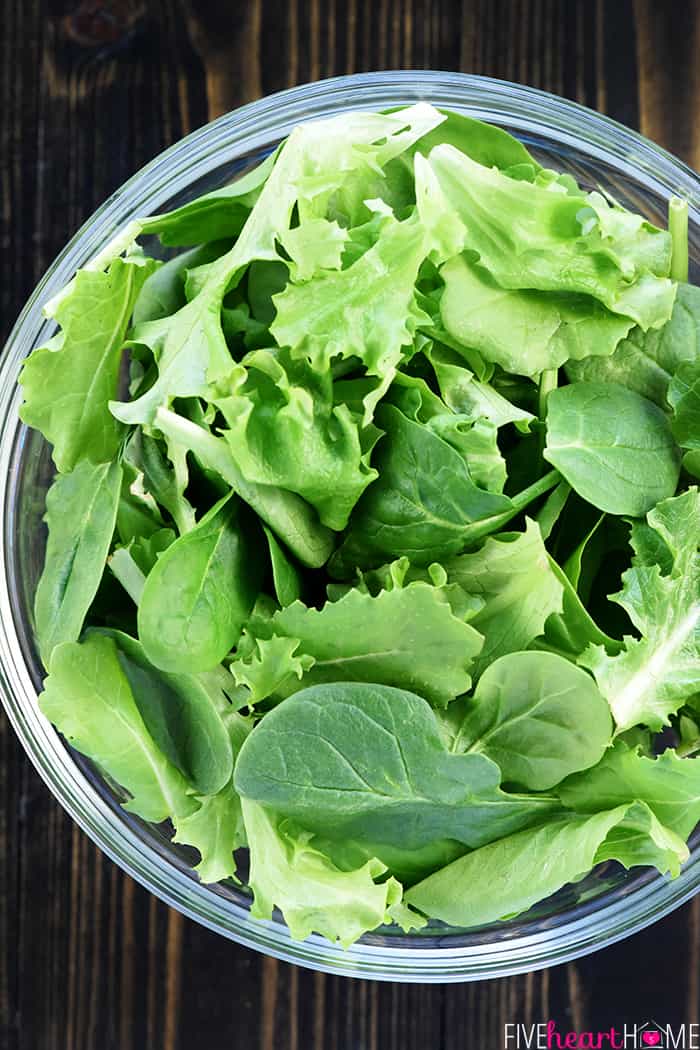 Brain Healthy Salad ~ loaded with leafy greens, blueberries, walnuts, and extra-virgin olive oil for an easy, tasty way to enjoy brain-protective foods in your diet! | FiveHeartHome.com Bowl of leafy greens.