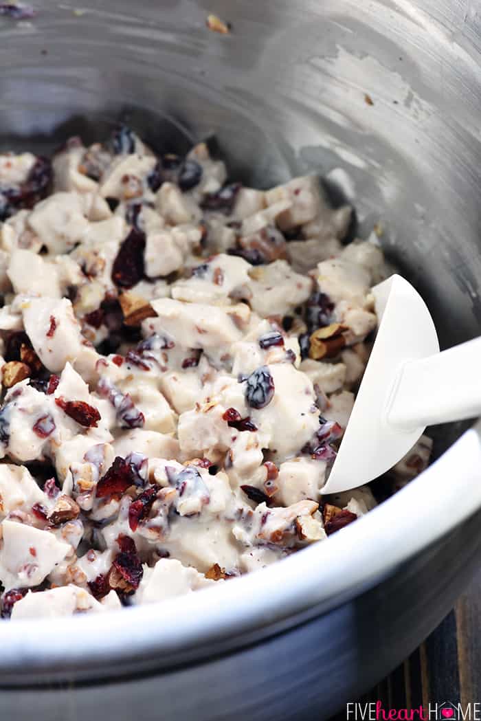 Sonoma Chicken Salad ~ studded with toasted pecans and dried cranberries in a lightened-up dressing including Greek yogurt & honey, this recipe makes scrumptious sandwiches for lunch, dinner, picnics, parties, or bridal and baby showers! | Five Heart Home.com Diced chicken, dried cranberries, pecans, and dressing combined in bowl.