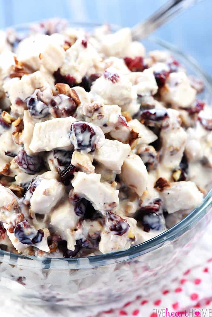 Sonoma Chicken Salad ~ studded with toasted pecans and dried cranberries in a lightened-up dressing including Greek yogurt & honey, this recipe makes scrumptious sandwiches for lunch, dinner, picnics, parties, or bridal and baby showers! | Five Heart Home.com Close-up of Sonoma Chicken Salad in a bowl with diced pecans and dried cranberries.