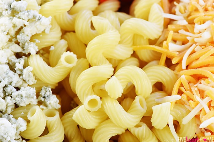 Cobb Pasta Salad ~ loaded with bacon, avocado, tomatoes, hard-boiled eggs, cheese, and homemade ranch dressing, this is the perfect recipe for summer picnics, potlucks, parties, and barbecues! | FiveHeartHome.com Close-up of pasta, blue cheese, and cheddar.