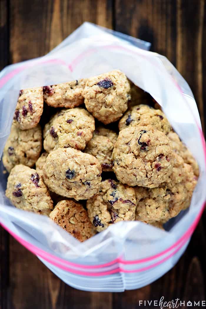 Oatmeal Lunchbox Cookies ~ small, wholesome treats perfect for tucking into a lunchbox to brighten your favorite child's day! | FiveHeartHome.com How to freeze