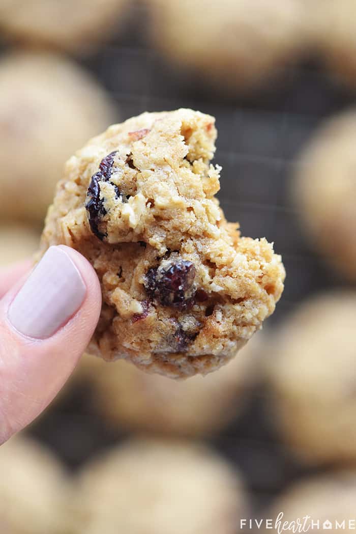 Oatmeal Lunchbox Cookies ~ small, wholesome treats perfect for tucking into a lunchbox to brighten your favorite child's day! | FiveHeartHome.com Oatmeal with dried cranberries