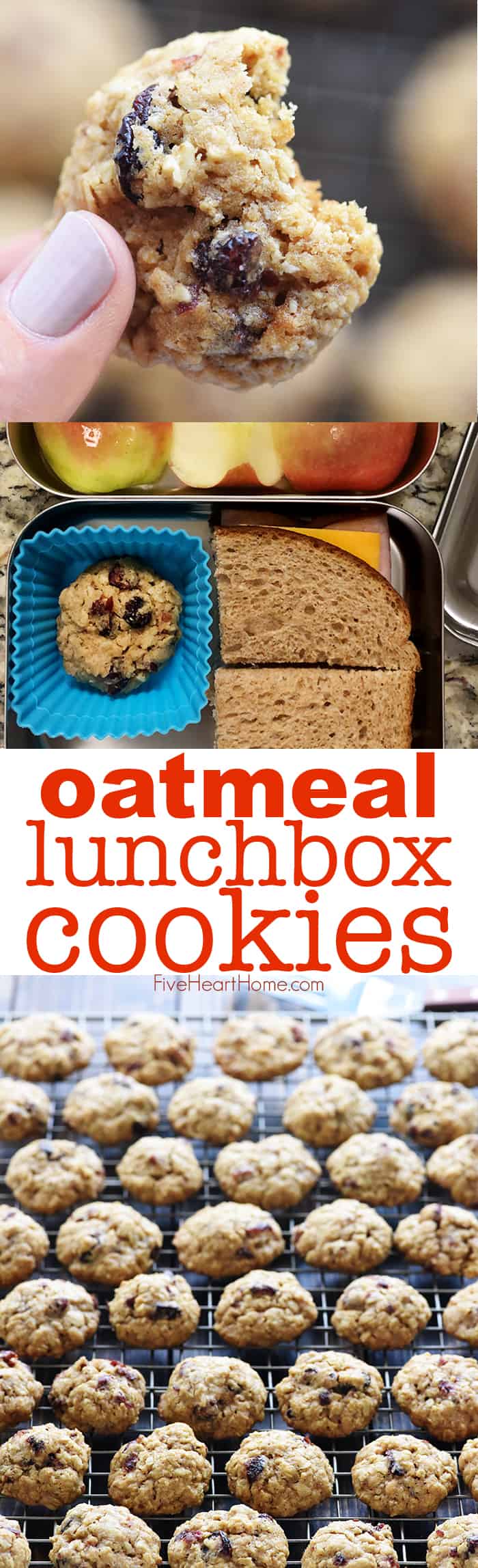 Oatmeal Lunchbox Cookies ~ small, wholesome treats perfect for tucking into a lunchbox to brighten your favorite child's day! | FiveHeartHome.com via @fivehearthome