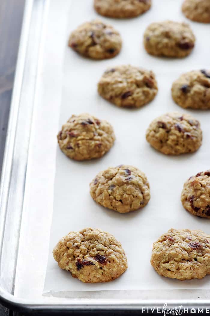 Oatmeal Lunchbox Cookies ~ small, wholesome treats perfect for tucking into a lunchbox to brighten your favorite child's day! | FiveHeartHome.com Oatmeal Cookies for Kids