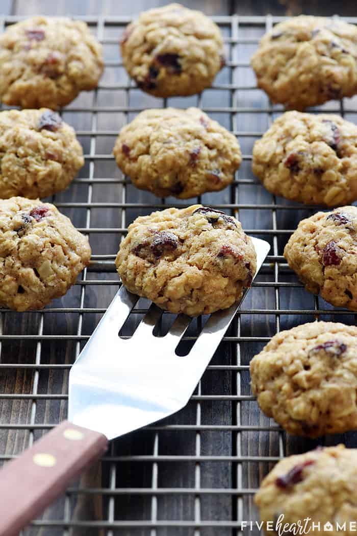 Oatmeal Lunchbox Cookies