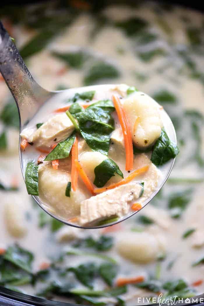 Aerial view of ladle of Olive Garden Chicken Gnocchi Soup.