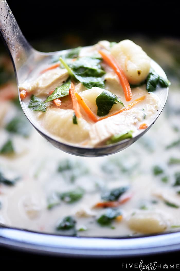 Ladle of Olive Garden Chicken Gnocchi Soup.