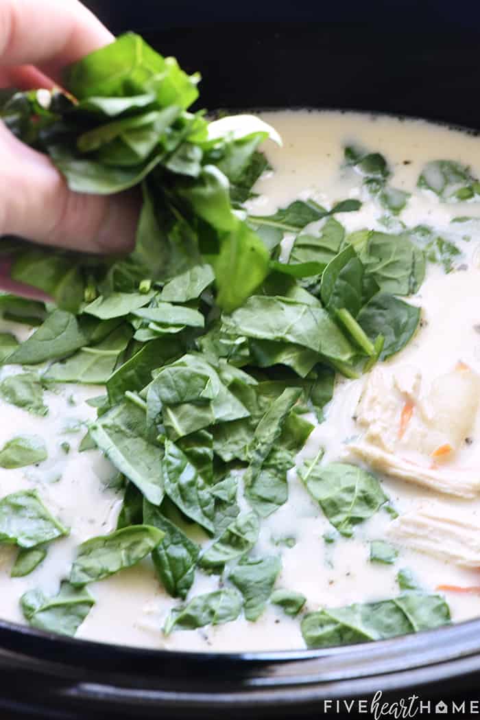 Spinach going into crockpot.