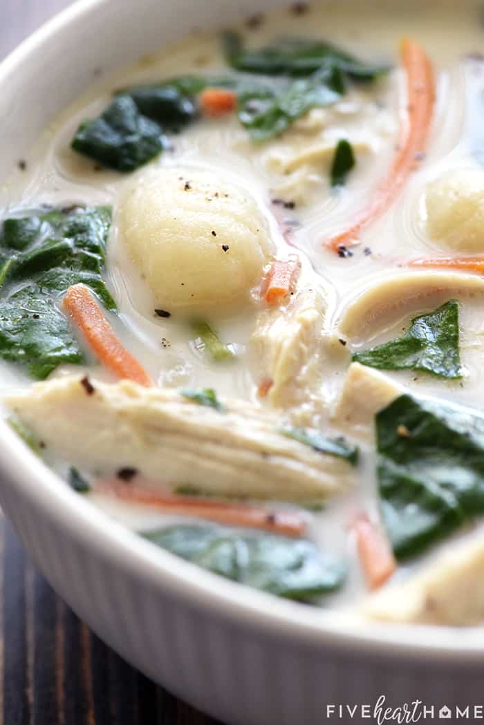 Slow Cooker Olive Garden Chicken Gnocchi Soup Fivehearthome
