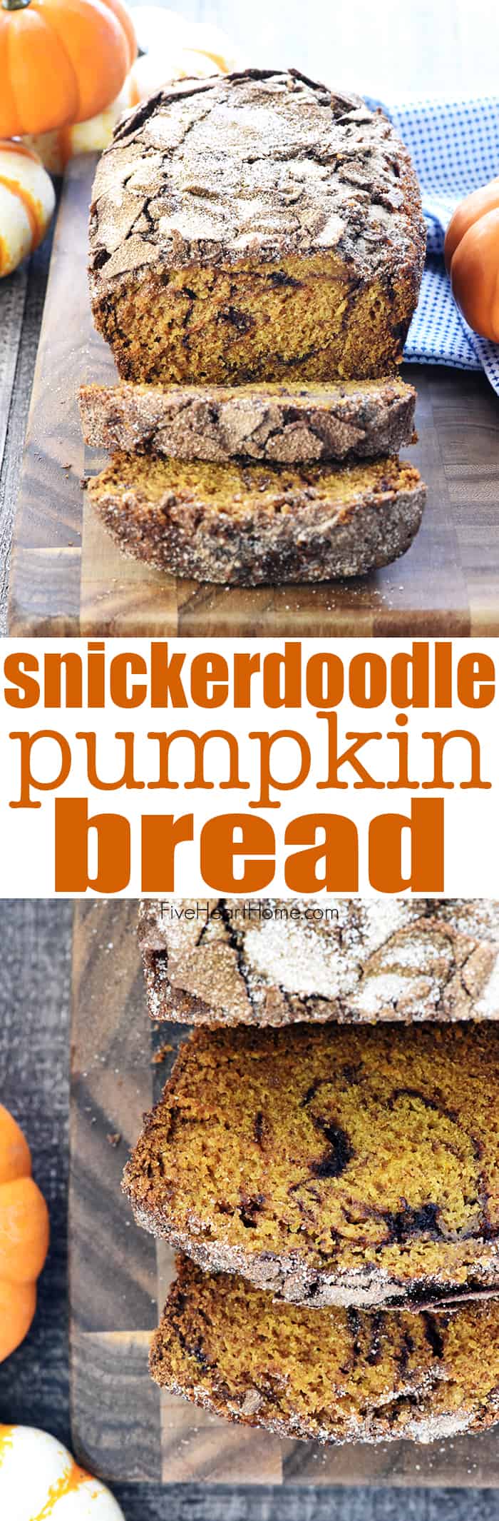 Snickerdoodle Pumpkin Bread ~ a sweet, moist pumpkin bread recipe, swirled and topped with a generous amount of cinnamon sugar for a delicious fall treat! | FiveHeartHome.com via @fivehearthome