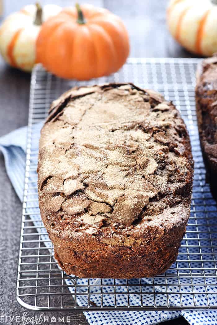 Snickerdoodle Pumpkin Bread ~ a sweet, moist pumpkin bread recipe, swirled and topped with a generous amount of cinnamon sugar, for a delicious fall treat! | FiveHeartHome.com Best Pumpkin Bread Recipe